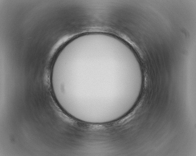 X0000111231454200908131113