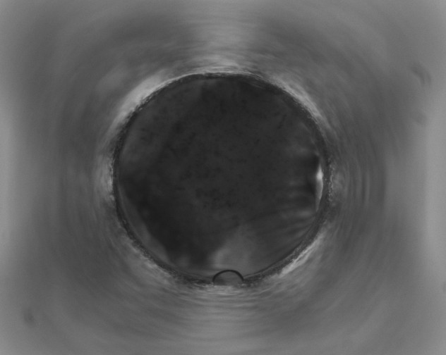 X0000111231455200908131113