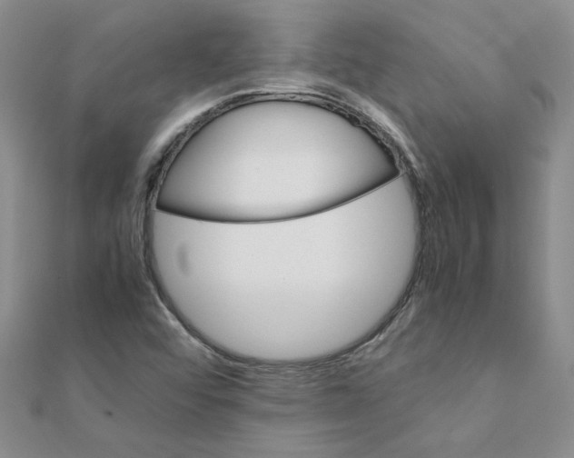 X0000111231456200908131113
