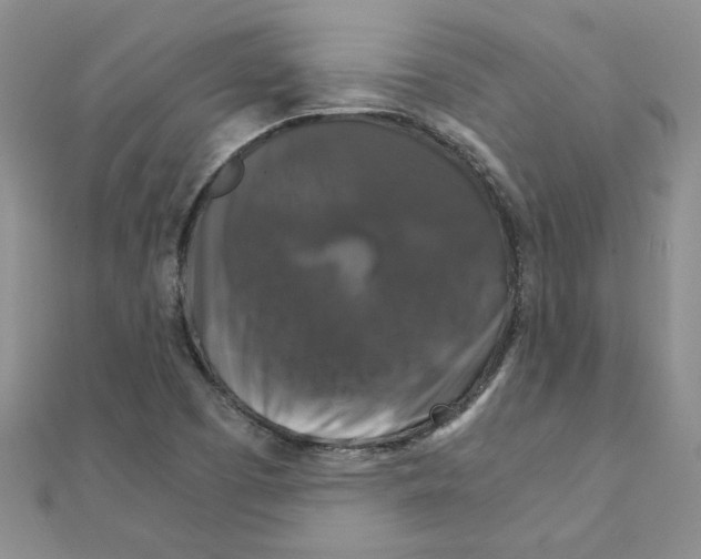 X0000111231457200908131113