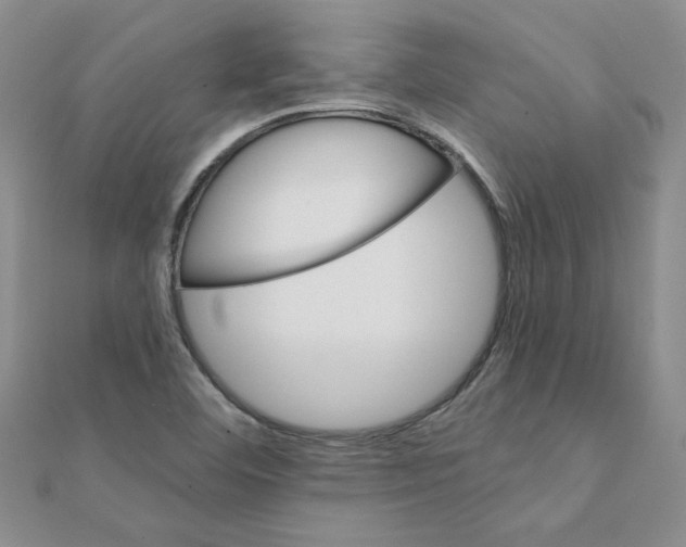 X0000111231460200908131113