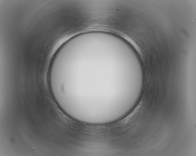 X0000111231461200908131113