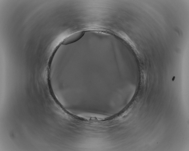 X0000111231463200908131113