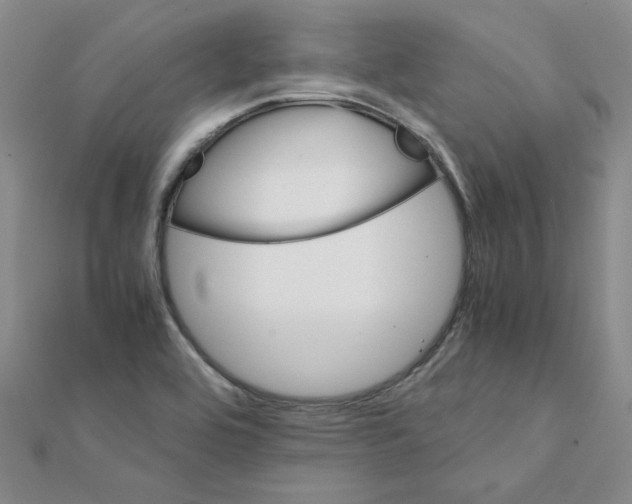 X0000111231464200908131113