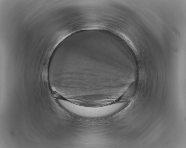X0000111231465200908131113
