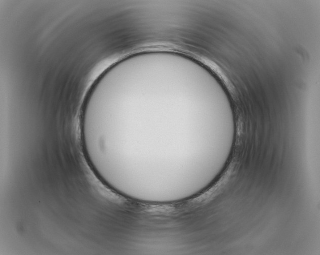 X0000111231466200908131113