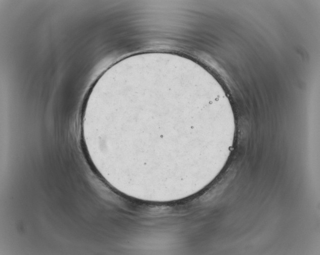 X0000111231467200908131113