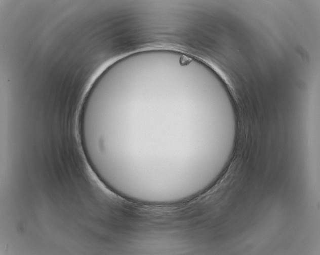 X0000111231468200908131113