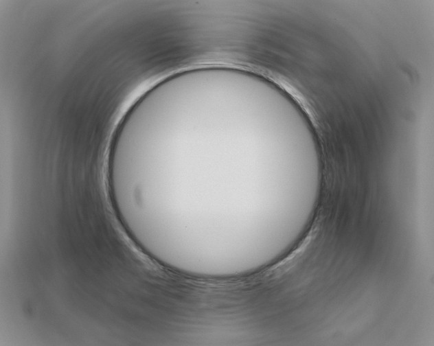 X0000111231469200908131113