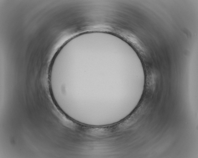 X0000111231470200908131113