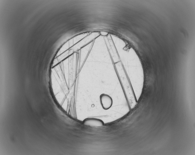 X0000111231471200908131113