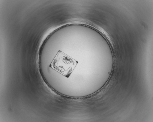 X0000111231472200908131113