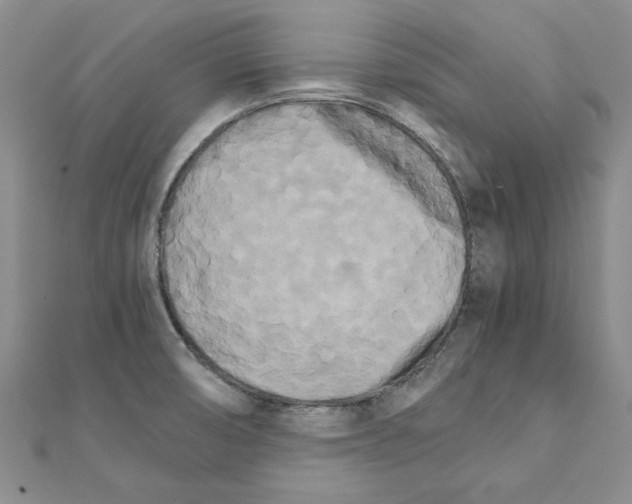 X0000111231474200908131113
