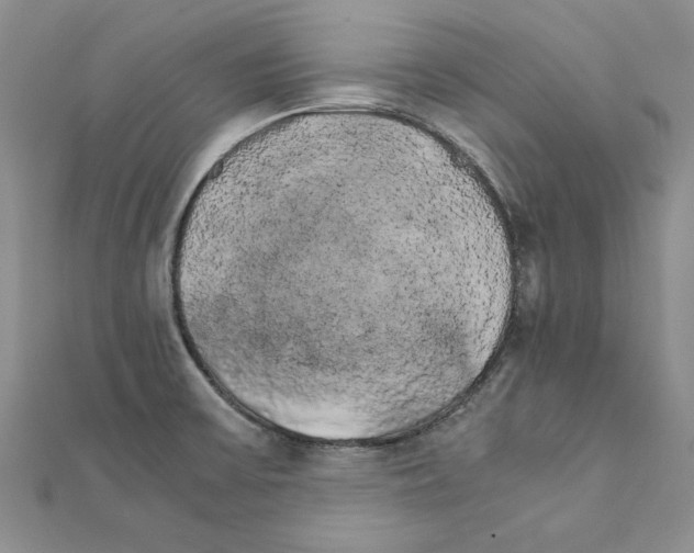 X0000111231475200908131113