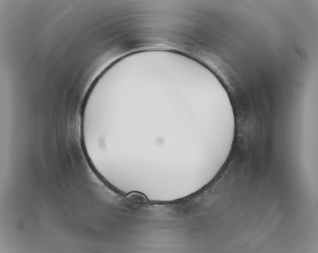 X0000111231476200908131113
