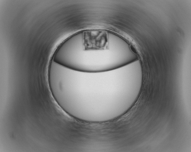 X0000111231480200908131113