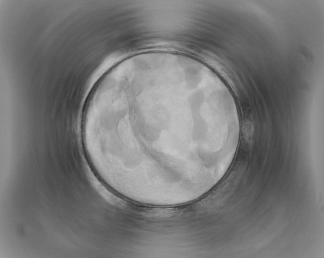 X0000111231482200908131113