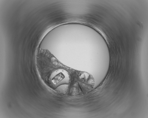 X0000111231483200908131112