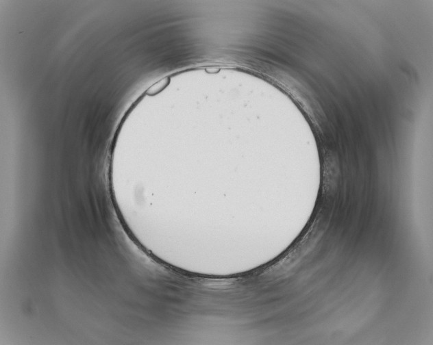 X0000111231484200908131112