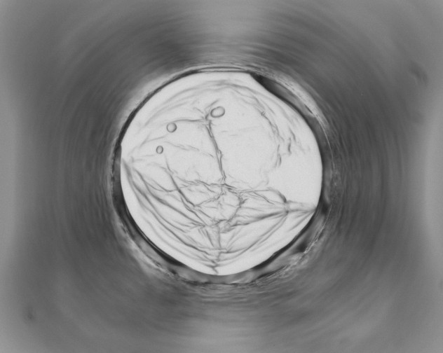 X0000111231485200908131112