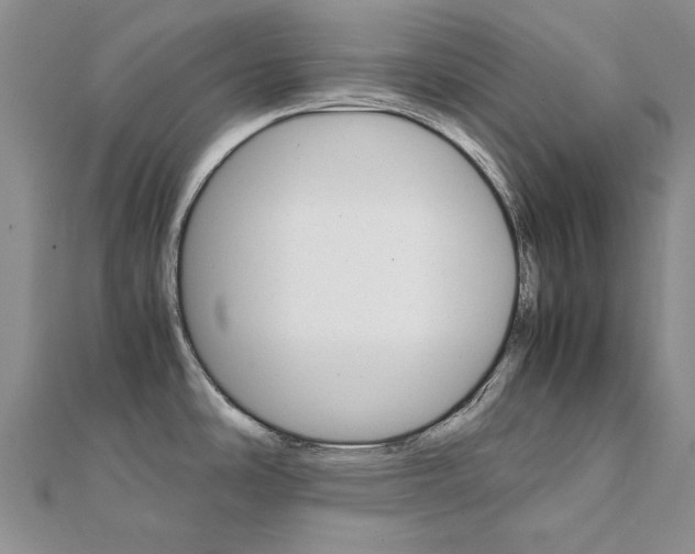X0000111231486200908131112