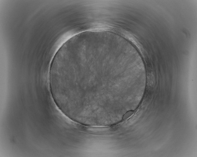 X0000111231487200908131112