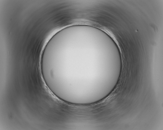 X0000111231488200908131112