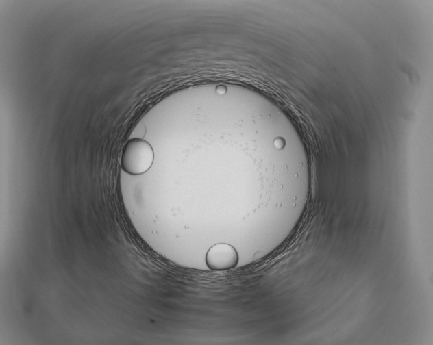 X0000111231491200908131112