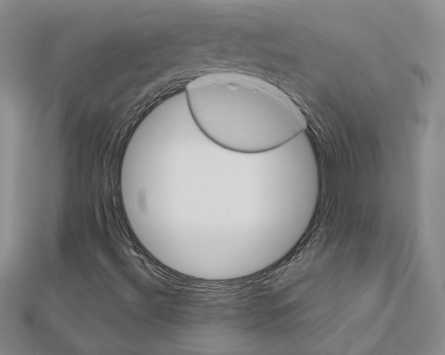X0000111231492200908131112
