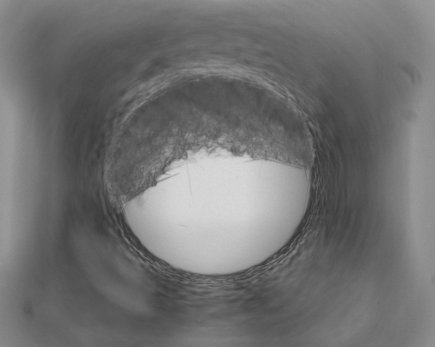 X0000111231493200908131112