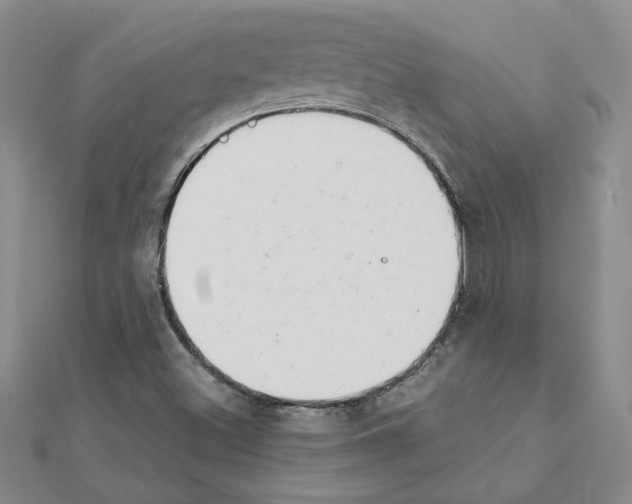 X0000111231500200908131112