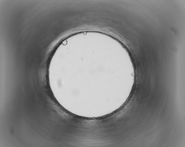 X0000111231502200908131112