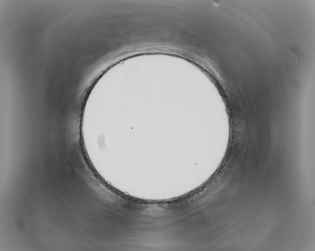 X0000111231504200908131112
