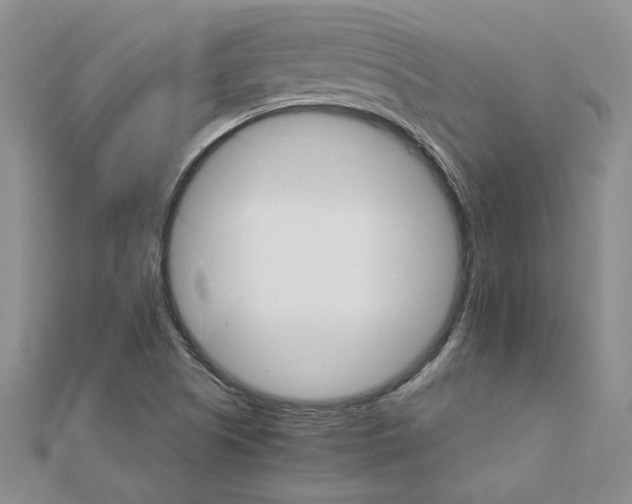 X0000111231505200908131112