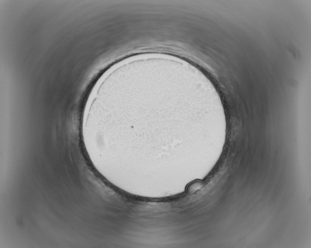 X0000111231506200908131112