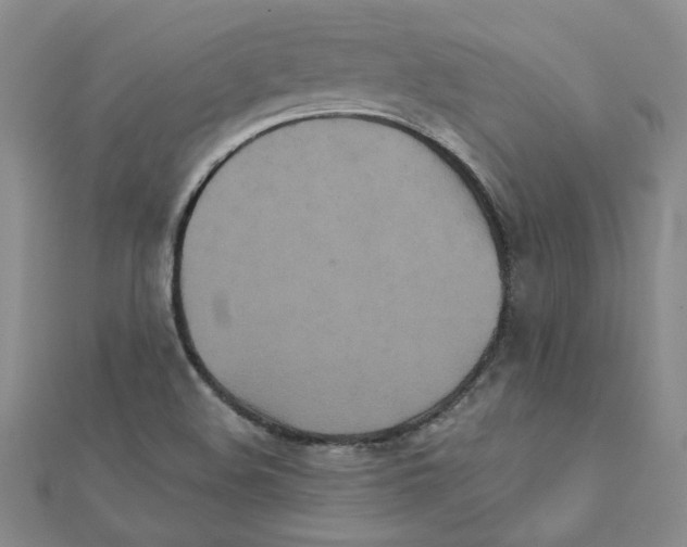X0000111231508200908131112