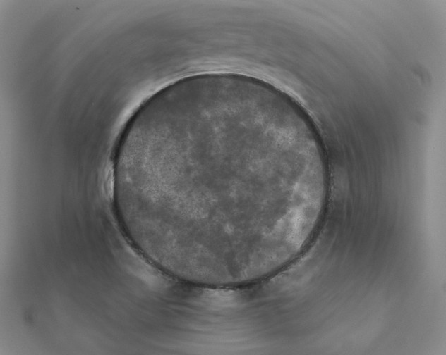X0000111231509200908131112