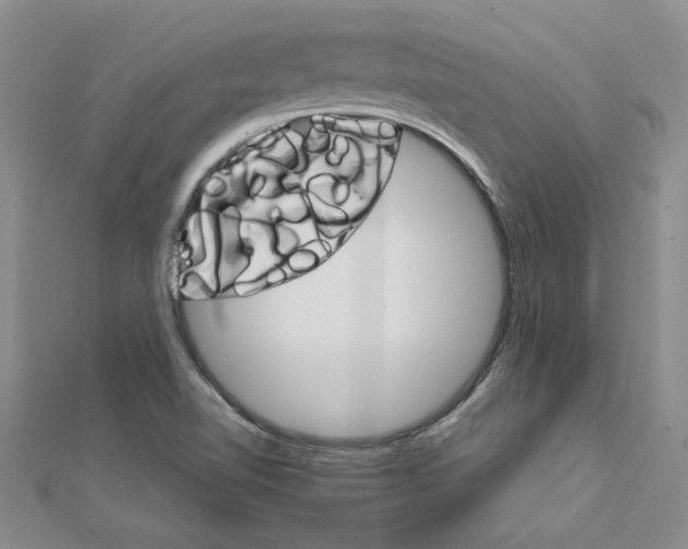 X0000111231510200908131112