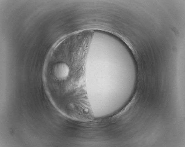 X0000111231513200908131112