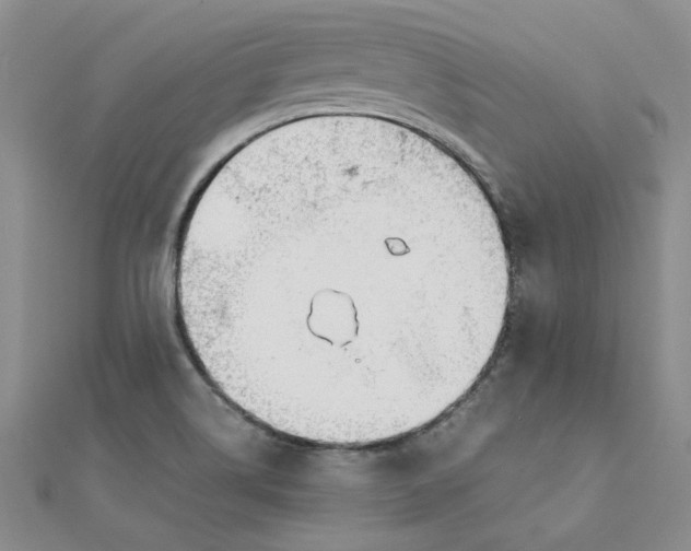 X0000111231514200908131112