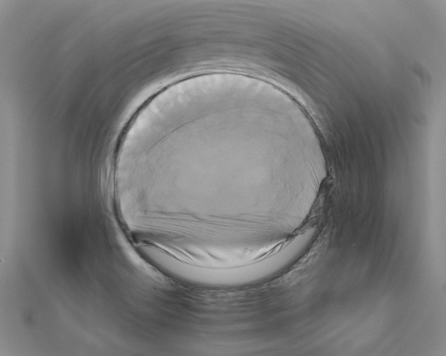 X0000111231515200908131112