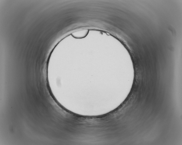 X0000111231516200908131112