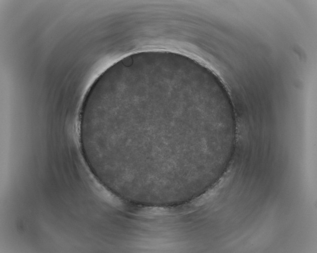 X0000111231517200908131112