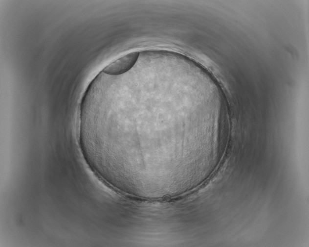 X0000111231520200908131112