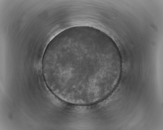 X0000111231521200908131112