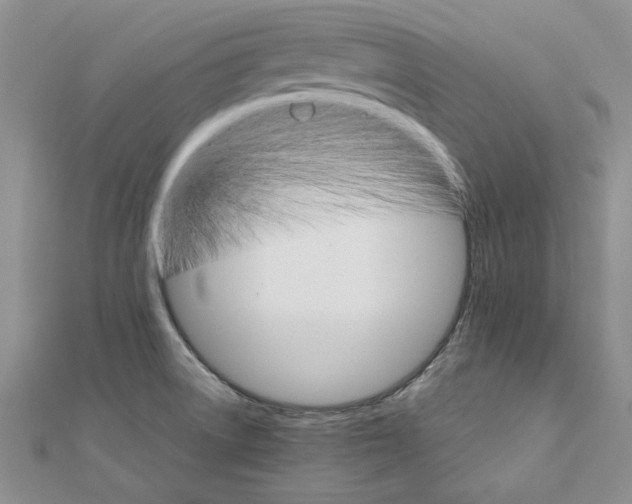 X0000111231522200908131112