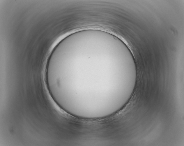 X0000111231523200908131112