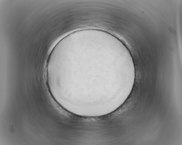 X0000111231524200908131112
