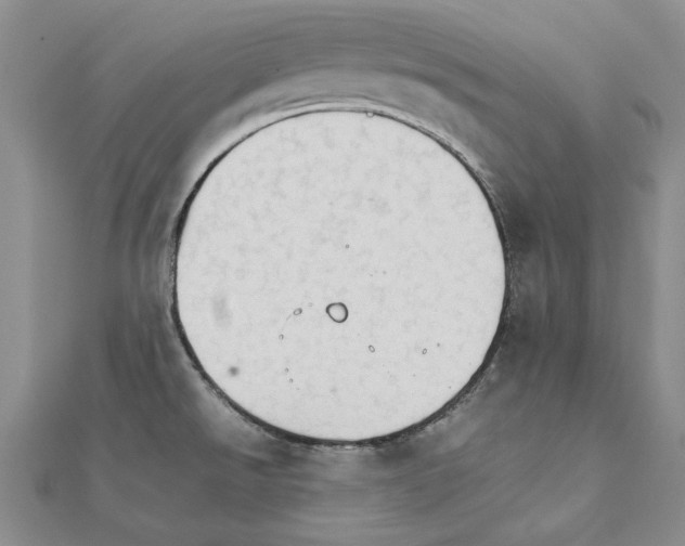 X0000111231526200908131112