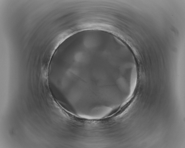 X0000111231529200908131112